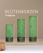 Blütenkerzen in lindgrün in drei Größen mit Angaben zu Höhe und Durchmesser.