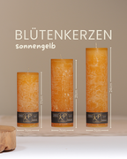 Blütenkerzen in sonnengelb in drei Größen mit Angaben zu Höhe und Durchmesser.