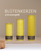 Blütenkerzen in zitronengelb in drei Größen mit Angaben zu Höhe und Durchmesser.